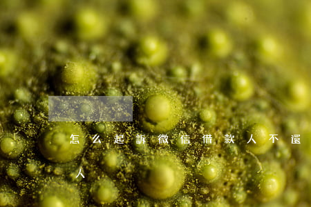 怎么起訴微信借款人不還（微信如何起訴欠錢人）