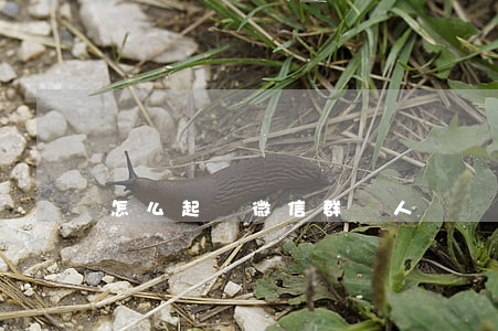 怎么起訴微信群罵人