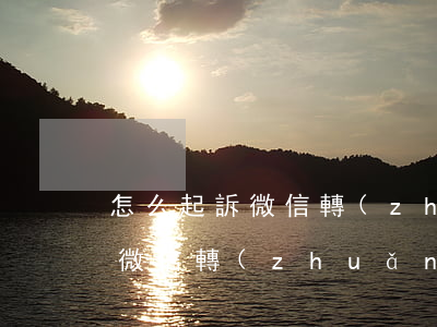 怎么起訴微信轉(zhuǎn)賬記錄(起訴微信轉(zhuǎn)賬記錄過期了)