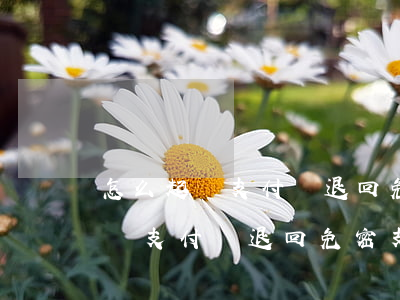 怎么起訴支付寶退回免密支付的錢-怎么起訴支付寶退回免密支付的錢呢