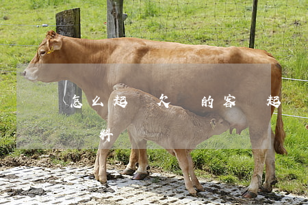 怎么起訴欠錢的客戶(起訴客戶欠款需要什么資料)