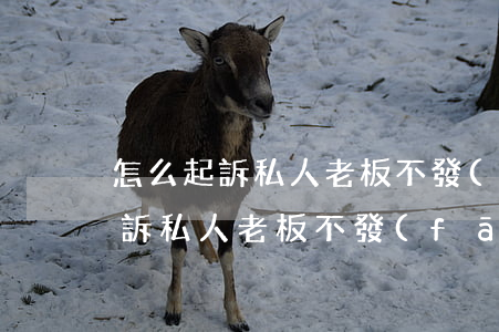 怎么起訴私人老板不發(fā)工資(怎么起訴私人老板不發(fā)工資)