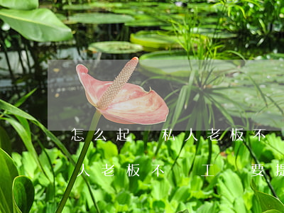 怎么起訴私人老板不發(fā)工資(起訴個人老板不給工資要提供什么)
