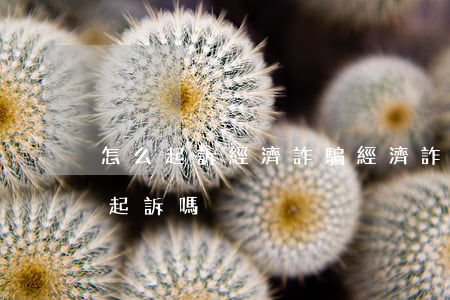 怎么起訴經濟詐騙(經濟詐騙可以直接去法院起訴嗎)