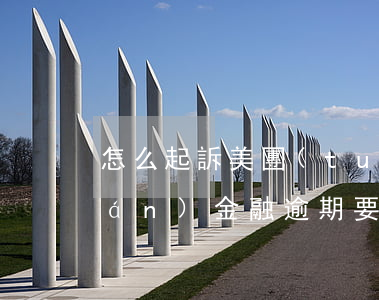 怎么起訴美團(tuán)金融（美團(tuán)金融逾期要起訴）