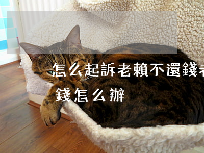 怎么起訴老賴不還錢(老賴法院判決后也不還錢怎么辦)