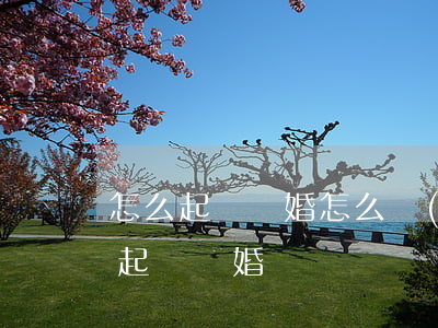 怎么起訴離婚怎么寫(xiě)(如何向法院起訴離婚)