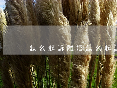 怎么起訴離婚(怎么起訴離婚的流程)