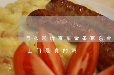 怎么起诉京东金条(京东金条说要起诉我还要上门是真的吗)