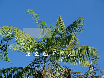 怎么起诉军人