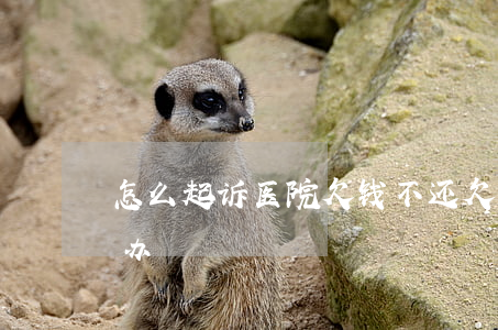 怎么起诉医院欠钱不还(欠医院钱被起诉怎么办)