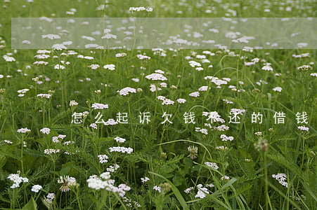 怎么起诉欠钱不还的(借钱不还怎么起诉)