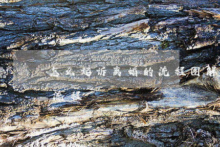 怎么起诉离婚的流程图解(人民法院离婚起诉流程)