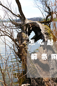 怎么起诉离婚的流程(怎么起诉离婚的流程图解 费用)