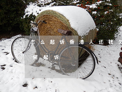 怎么起诉香港人还钱(欠款人是香港居民该如何起诉)