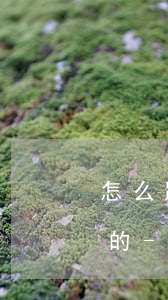 怎么跟中信銀行信用卡協(xié)商還款的-怎么跟中信銀行信用卡協(xié)商還款的錢
