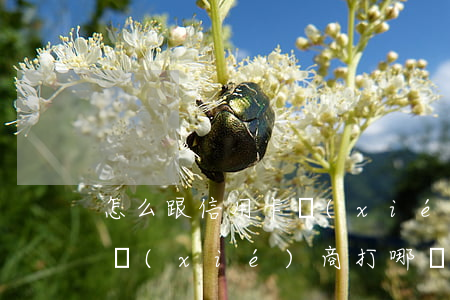怎么跟信用卡協(xié)商掛賬(跟信用卡協(xié)商打哪個電話)