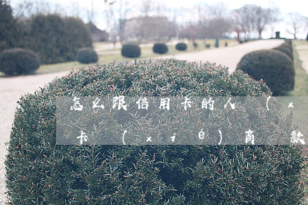 怎么跟信用卡的人協(xié)商還款(信用卡協(xié)商還款去哪里辦)