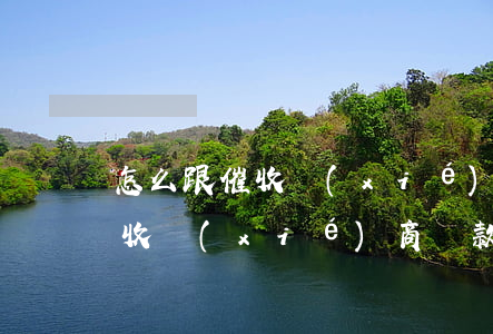 怎么跟催收協(xié)商還款-怎么跟催收協(xié)商還款的聊天