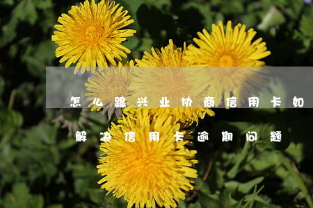 怎么跟兴业协商信用卡(如何跟兴业银行协商解决信用卡逾期问题)