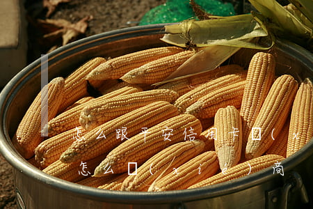 怎么跟平安信用卡協(xié)商(平安銀行怎么協(xié)商)