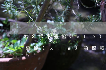 怎么跟平臺協(xié)商還款-怎么跟平臺協(xié)商還款電話