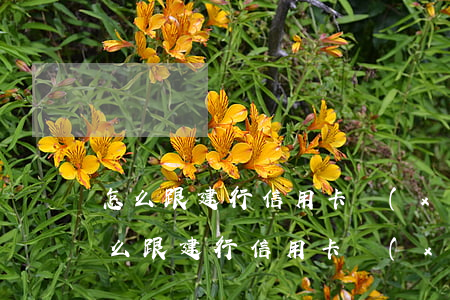 怎么跟建行信用卡協(xié)商還款-怎么跟建行信用卡協(xié)商還款電話(huà)