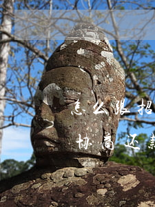 怎么跟招商银行协商还款(招商银行迟迟不给协商还款方案,什么意思?)