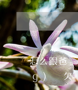 怎么跟爸媽說(shuō)欠了網(wǎng)貸(欠網(wǎng)貸要不要跟父母說(shuō))