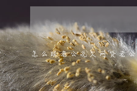 怎么跟老公说欠网贷(老公借了网贷怎么办)