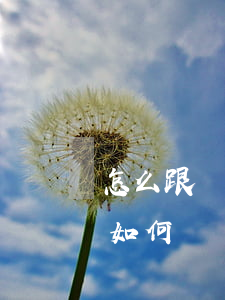 怎么跟銀行申請(qǐng)消除逾期記錄 如何讓銀行消除逾期記錄