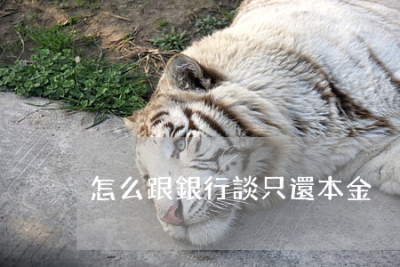 怎么跟銀行談只還本金