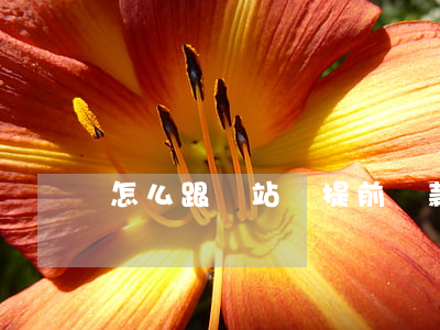 怎么跟錢站談提前還款只還本金-