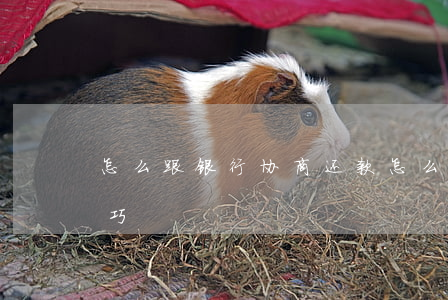 怎么跟银行协商还款(怎么跟银行协商还款技巧)