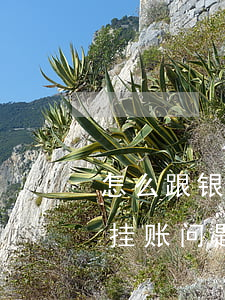 怎么跟银行谈停息挂账-怎么跟银行谈停息挂账问题