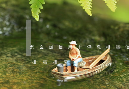 怎么辦信用卡停息掛賬（信用卡逾期辦理停息掛賬招商）