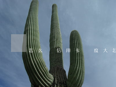 怎么辦信用卡額度大(怎么辦信用卡額度大一點)
