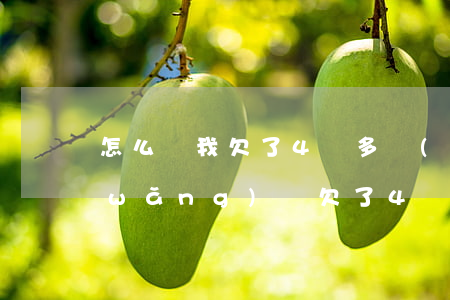 怎么辦我欠了4萬多網(wǎng)貸(網(wǎng)貸欠了4萬我該怎么辦)
