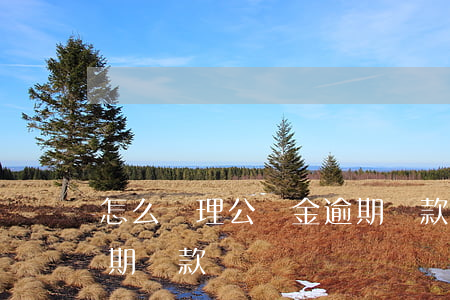 怎么辦理公積金逾期還款(怎么辦理公積金逾期還款)