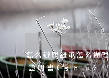 怎么辦理繼承(怎么辦理繼承權(quán)證明書(shū))
