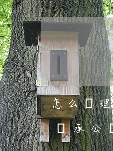 怎么辦理繼承權(quán)公證(怎樣辦理繼承公證)