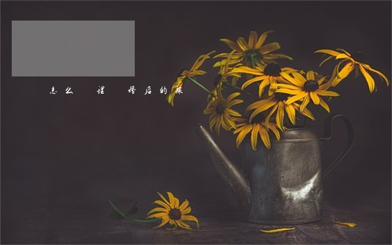 怎么辦理離婚后的探視