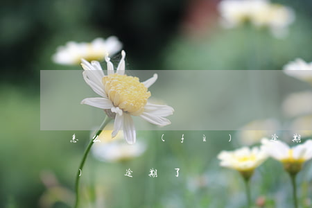 怎么辦負(fù)債逾期了(怎么辦負(fù)債逾期了)