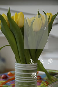 怎么辨別律師函的真假程度(律師函怎么查真假)