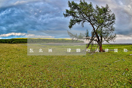 怎么辨別律師和法律援助(援助律師怎么找呢)