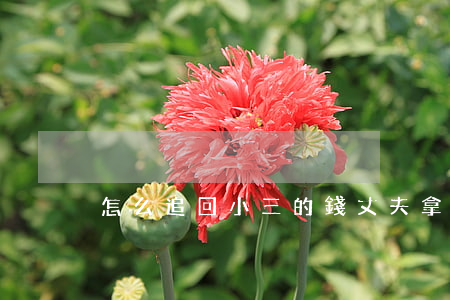 怎么追回小三的錢(丈夫拿錢給小三怎么追回)