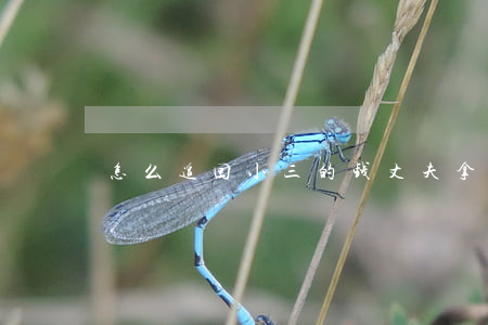 怎么追回小三的钱(丈夫拿钱给小三怎么追回)
