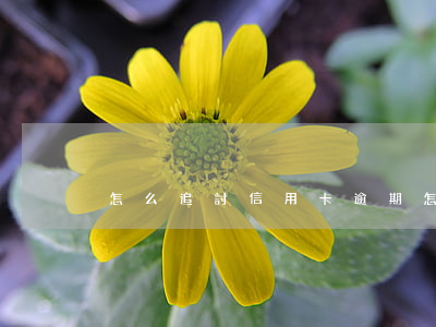 怎么追討信用卡逾期(怎么起訴信用卡)
