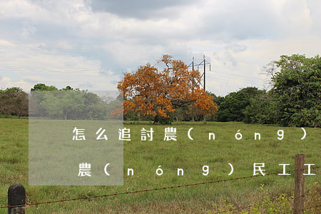 怎么追討農(nóng)民工工資(怎么追回農(nóng)民工工資)