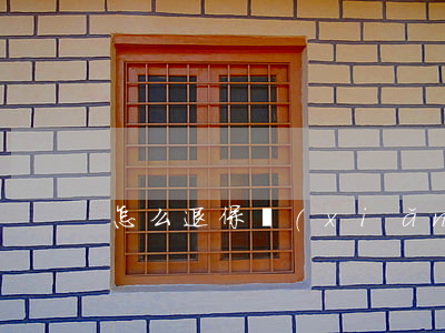 怎么退保險(xiǎn)